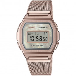 Hodinky Casio A1000MCG-9EF