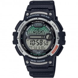 Hodinky Casio WS-1200H-1AVEF