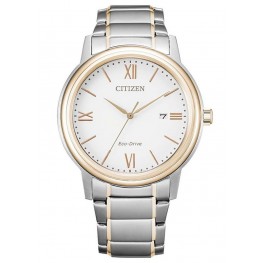 Hodinky Citizen Classic AW1676-86A