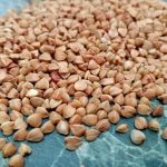 Kuidas süüa tatart korralikult, nii et see laguneks: meetod, mis muudab teie suhtumist putrule kuidas-suua-tatart-korralikult-nii-et-see-laguneks-meetod-mis.jpg